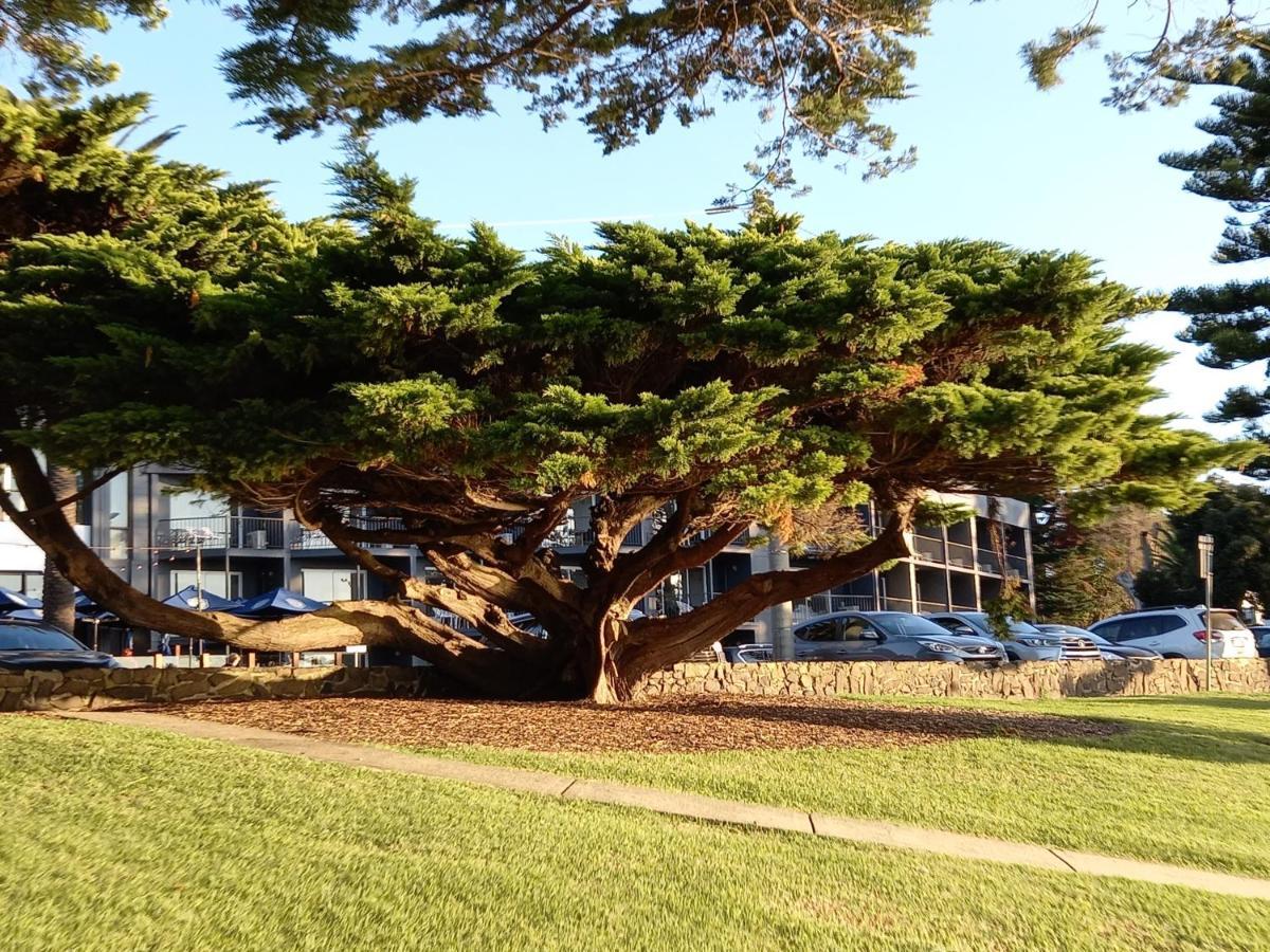 Apartments In Phillip Island Towers - Block C Cowes Exterior photo